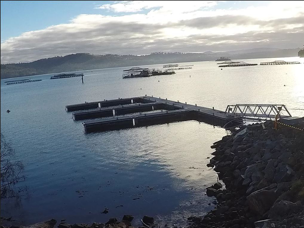Pontoon
