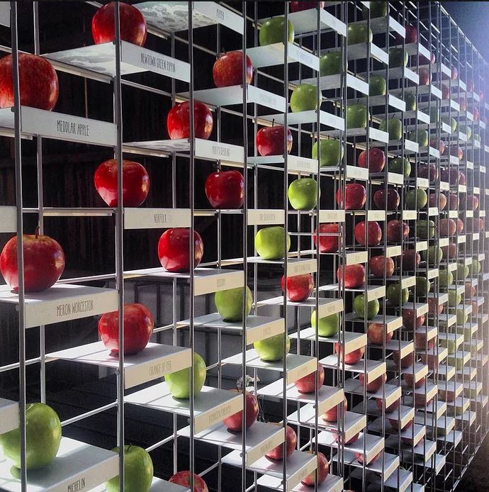 Display shelving